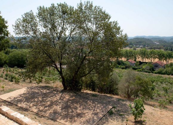 Conférence « Arbres remarquables du Gard » par Yves Maccagno Conférence « Arbres remarquables du Gard » par Yves Maccagno