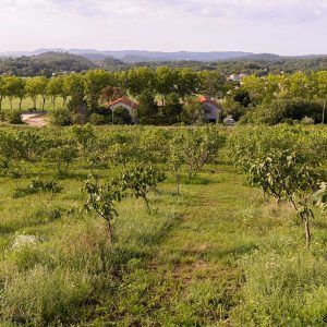 Visite gourmande du verger