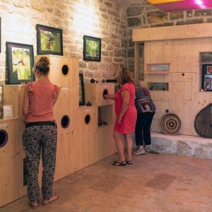 Visite guidée de la Maison de la Figue