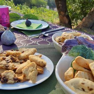 Petit déjeuner dans le verger