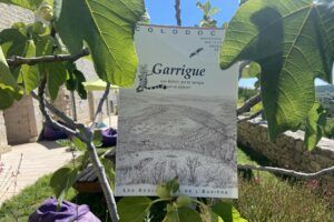 Huile parfumée pour le corps « Porte des Cévennes » - Maison de la Figue