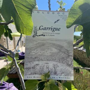 Garrigues, une histoire qui ne manque pas de piquant