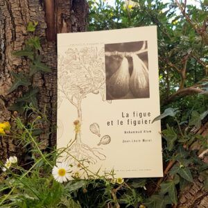 La figue et le figuier