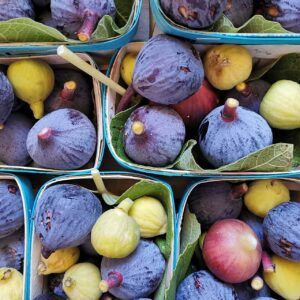 Barquettes figues 500gr
