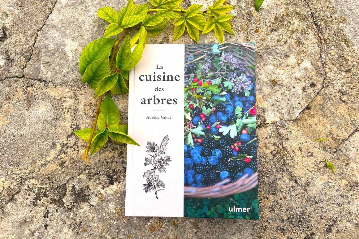 Livre « La cuisine des arbres » de Aurélie Valtat