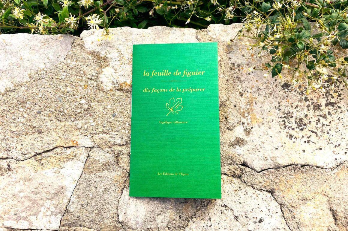 Livre « La feuille de figuiers » de Angélique Villeneuve