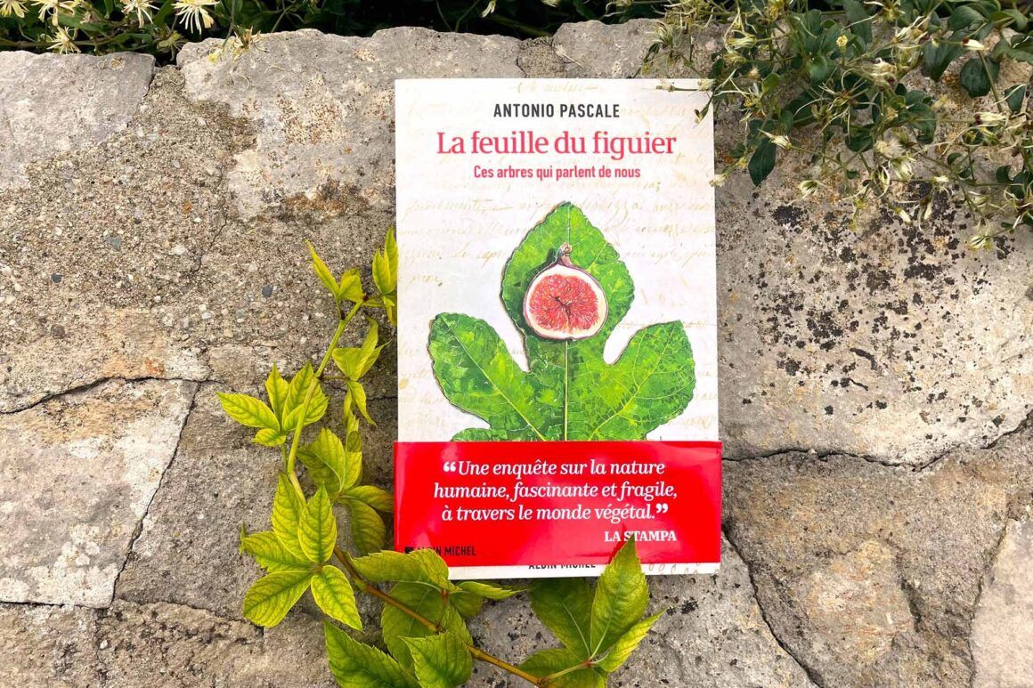 Livre « La feuille du figuier » de Antonio Pascale