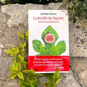 Livre « La feuille du figuier » de Antonio Pascale