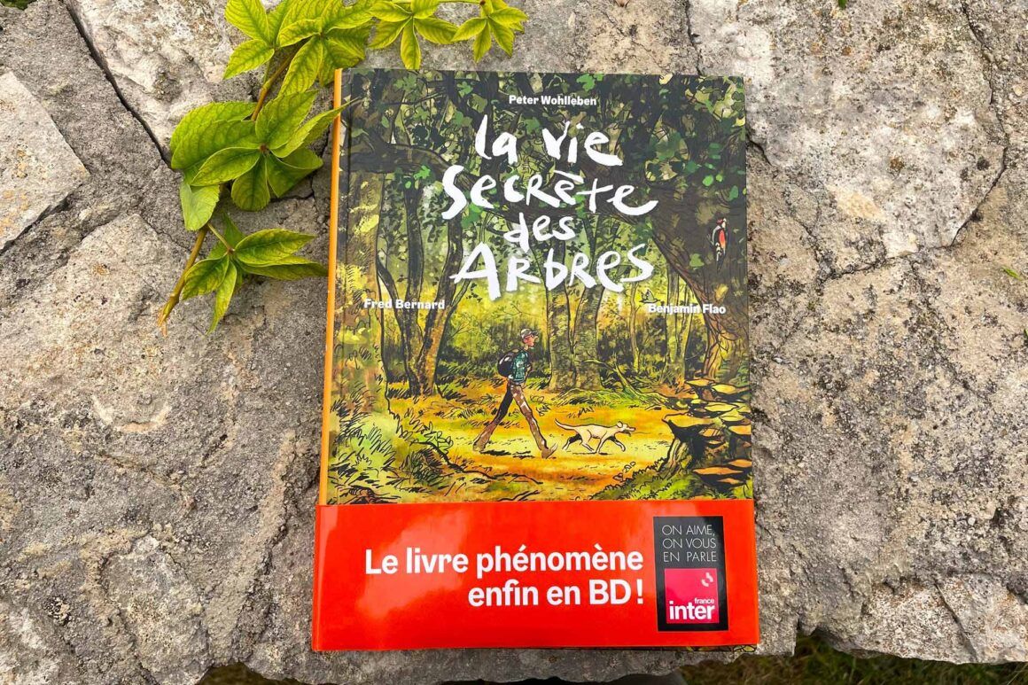 Livre « La vie secrète des arbres » de Peter Wollben